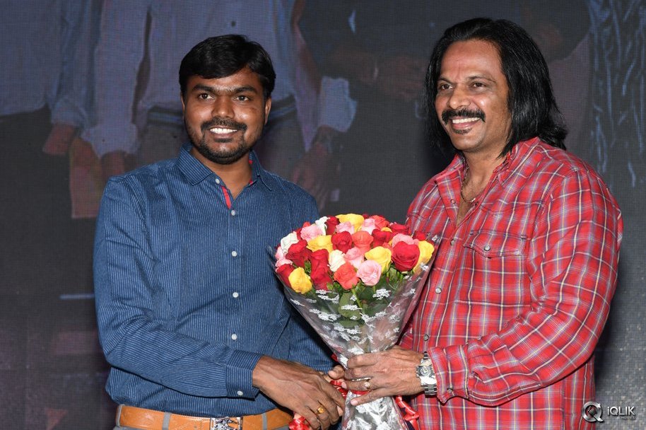 Saahasam-Swaasaga-Saagipo-Movie-Audio-Launch